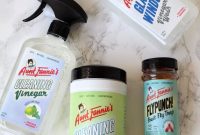 Aunt Fannies Cleaning and Pest Solutions Does It Deliver