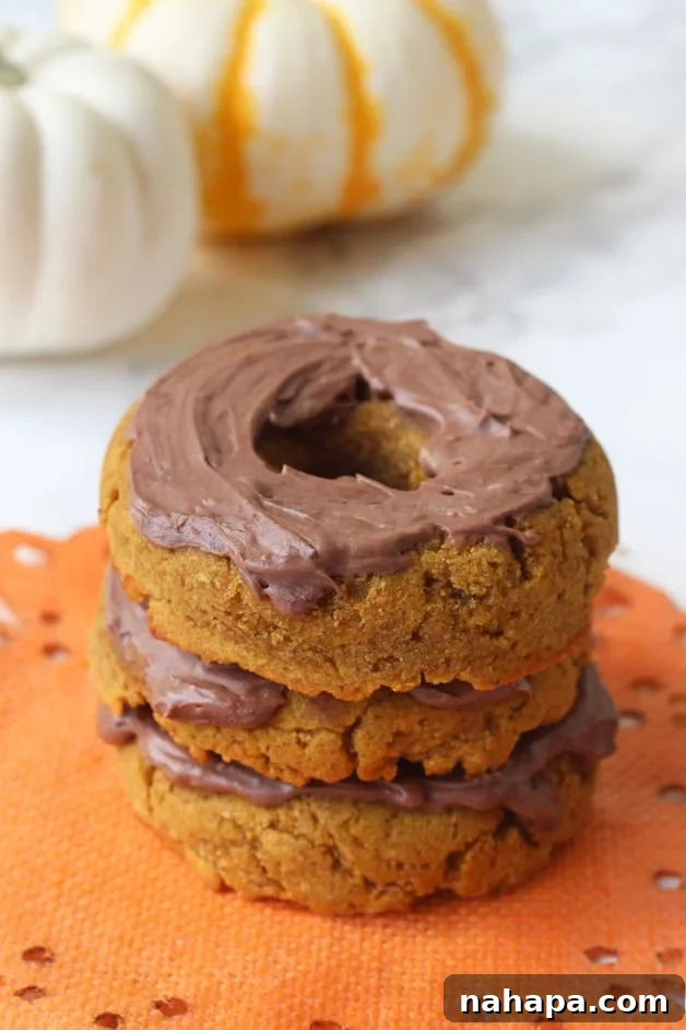 Paleo Pumpkin Donuts with Chocolate Frosting (AIP, Gluten free)