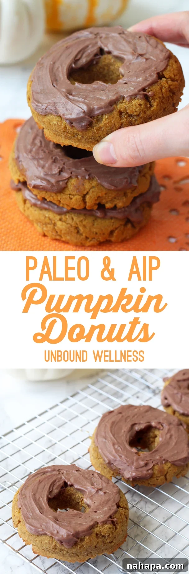 Paleo Pumpkin Donuts with Chocolate Frosting (AIP, Gluten free)