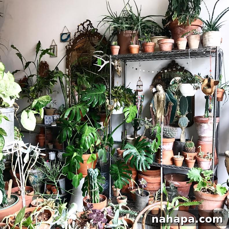 A vibrant wall covered in an array of potted plants and trailing greenery from hanging planters, creating a lush, serene atmosphere.
