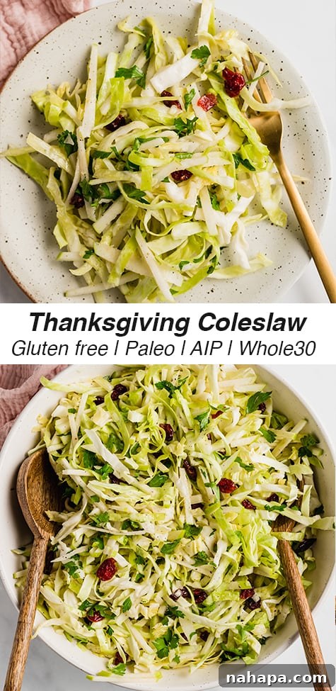 Thanksgiving coleslaw in a stylized vertical shot