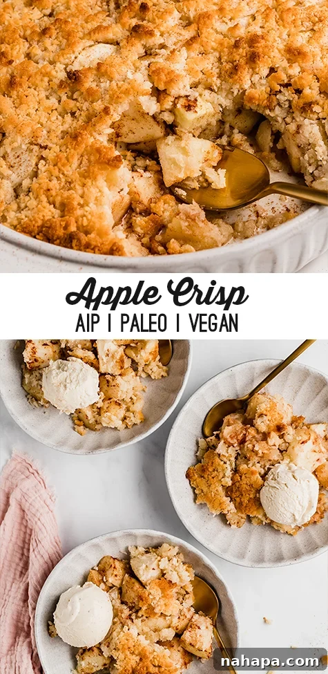 Pinterest graphic for Paleo Apple Crisp, showing the crisp with ice cream.