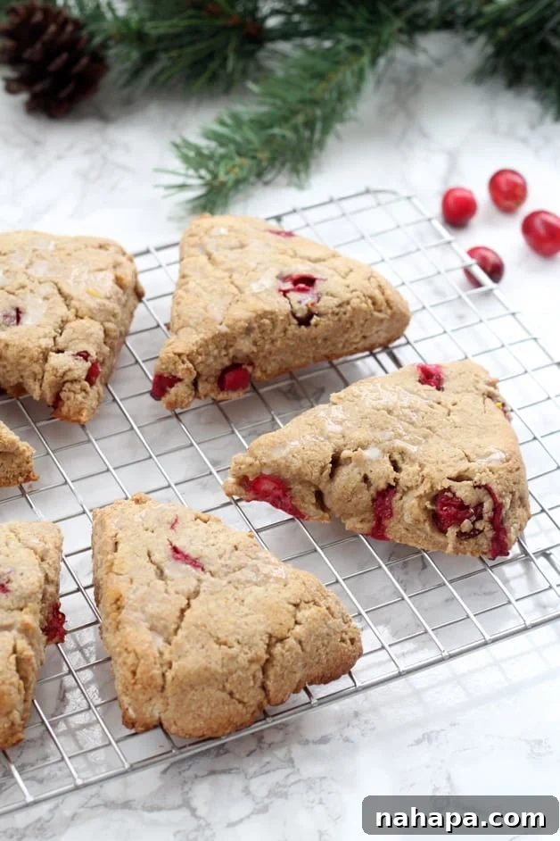 Stacked Paleo & AIP Orange Cranberry Scones, showing off their rustic appearance and delicious texture.