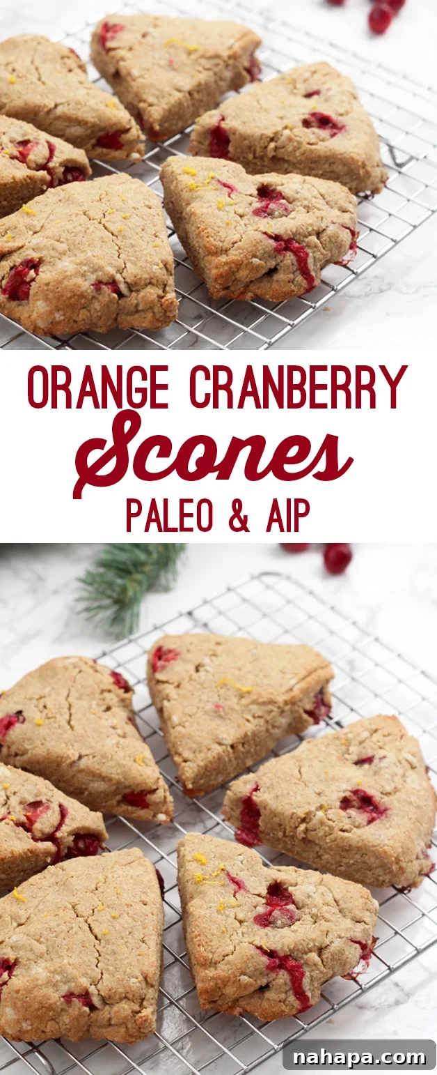 A close-up shot of an Orange Cranberry Scone (Paleo & AIP) with visible cranberries and orange zest, placed on a wooden surface.