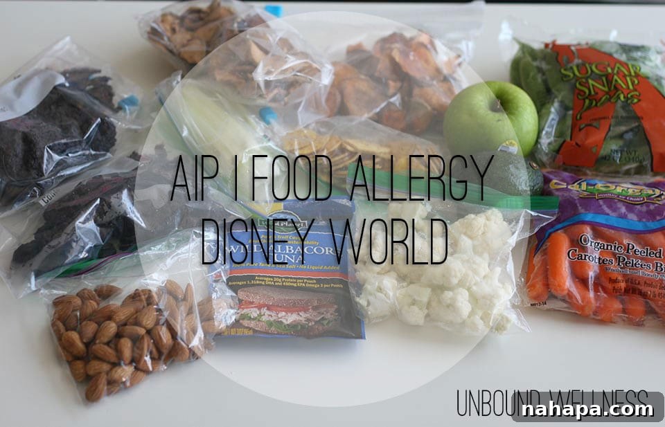 Thriving at Disney World: AIP Paleo Food Allergy Adventures 2 A well-packed cooler bag filled with various homemade and store-bought AIP-friendly snacks and meals for a Disney trip.