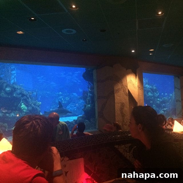 Thriving at Disney World: AIP Paleo Food Allergy Adventures 11 Interior view of Coral Reef Restaurant at Epcot, showing tables with a large aquarium backdrop, where various marine life swim.