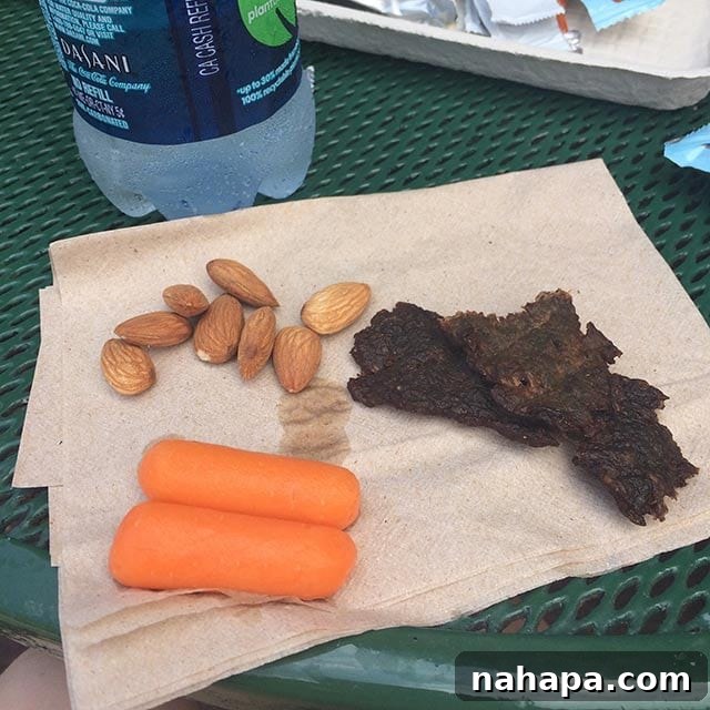 Thriving at Disney World: AIP Paleo Food Allergy Adventures 4 Close-up of a hand holding a piece of homemade beef jerky, enjoyed as a snack during a Disney trip.