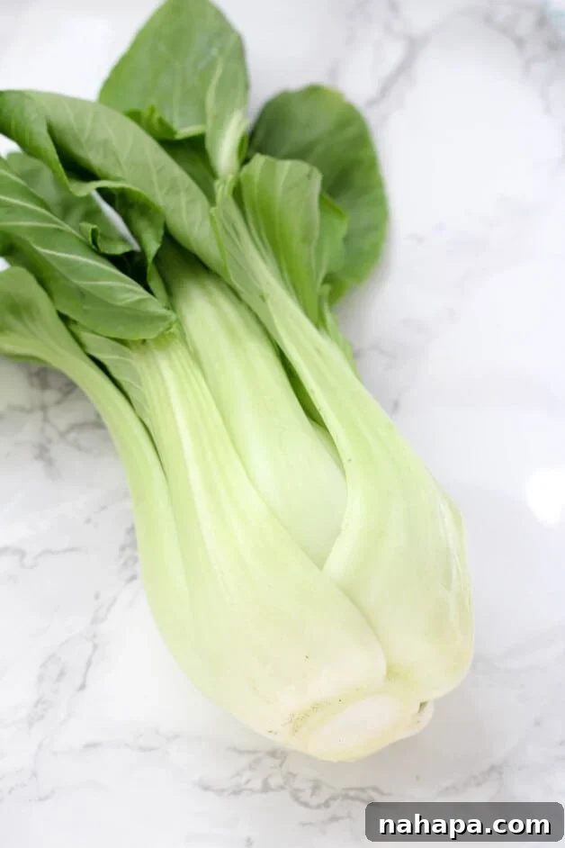 Effortless Paleo Whole30 AIP Chicken Vegetable Stir Fry 2 A stalk of baby bok choy, uncooked and whole, highlighting its crisp green leaves and white stalks.