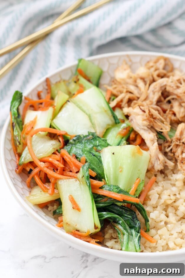 Effortless Paleo Whole30 AIP Chicken Vegetable Stir Fry 3 A vibrant bowl of chicken and vegetable stir fry featuring cauliflower rice, shredded carrots, and baby bok choy.