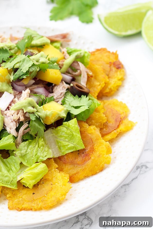 The Ultimate Super Bowl Paleo Nacho Bar Whole30 and AIP 4 A beautifully assembled plate of Paleo nachos featuring crispy plantain chips, tender carnitas, creamy avocado sauce, fresh mango salsa, cilantro, and lime wedges.