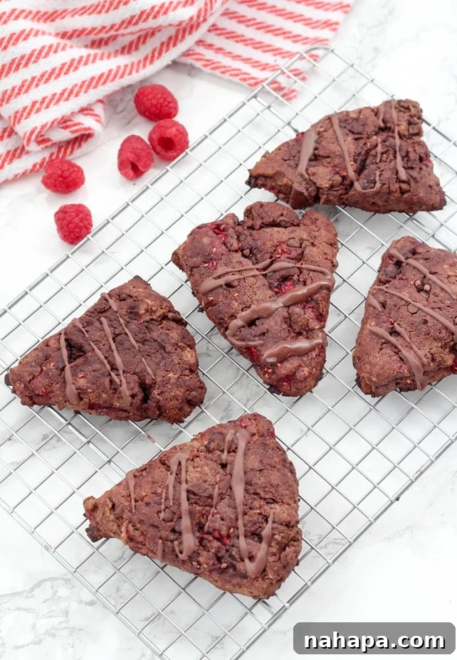 Paleo Chocolate Raspberry Scones (AIP, Valentine's Day) displayed beautifully on a serving plate.