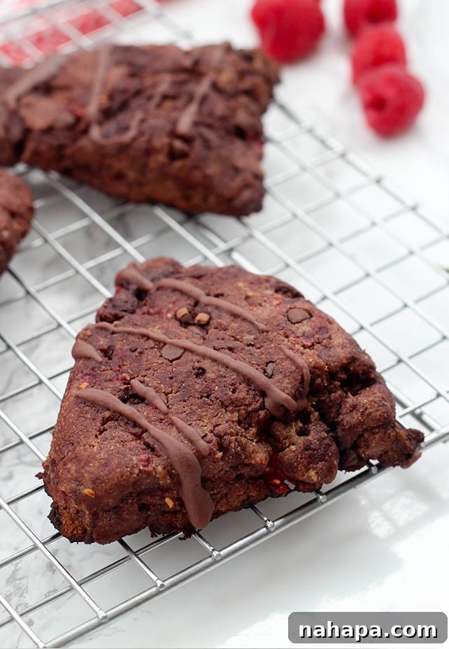 Paleo Chocolate Raspberry Scones (AIP, Valentine's Day) with a close-up of the texture and raspberries.
