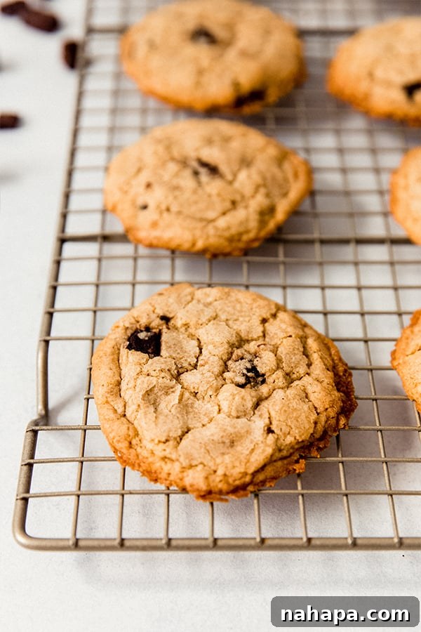 Freshly baked paleo chocolate chip cookies cooling on a metal rack, ready to be enjoyed.