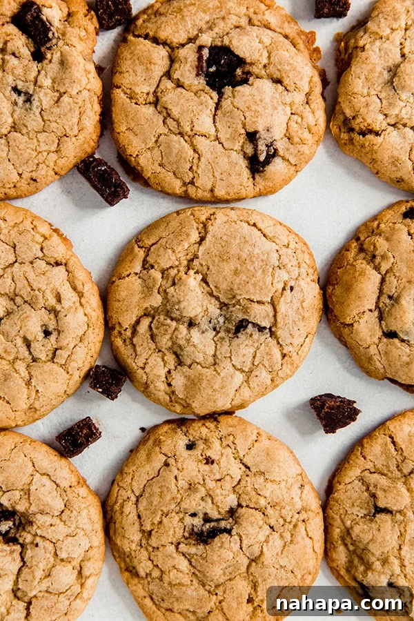 Chocolate chip cookies laid out across a baking sheet.