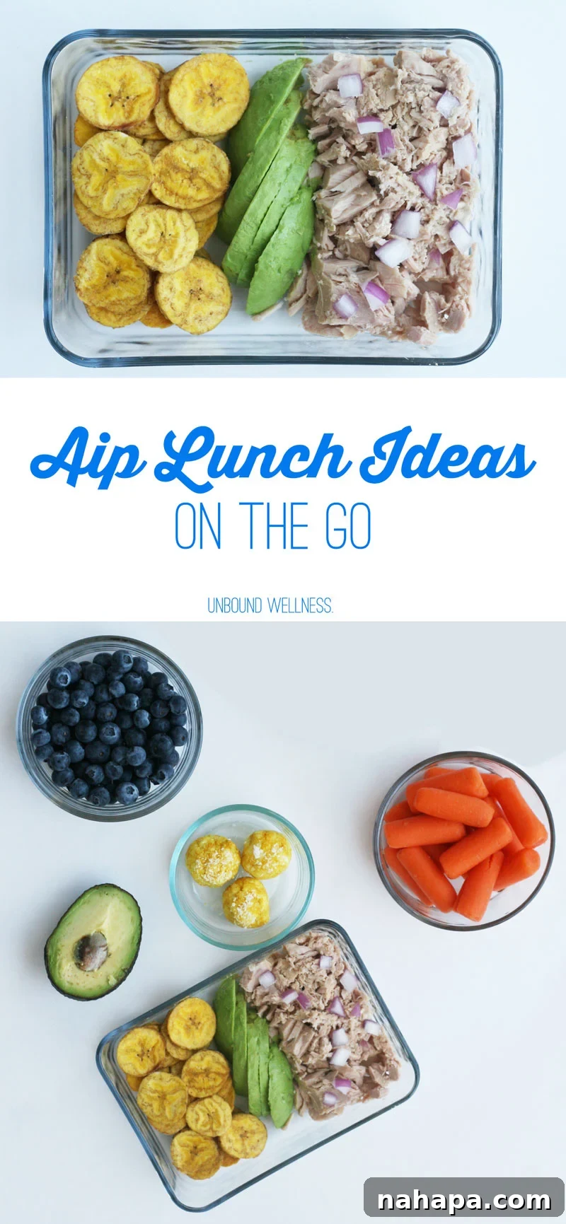 Easy AIP Lunch Ideas on the go, including Coconut Turmeric Bites