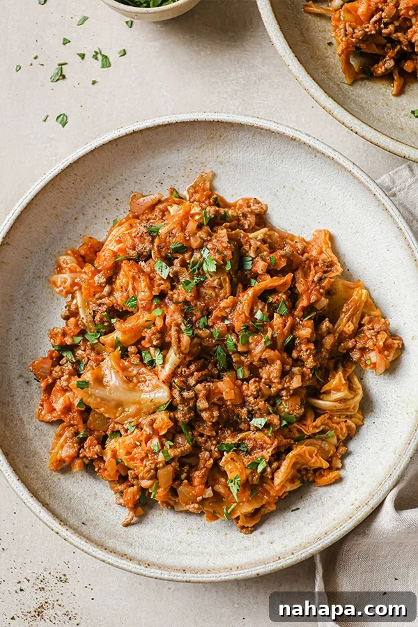unstuffed cabbage roll on a plate. 