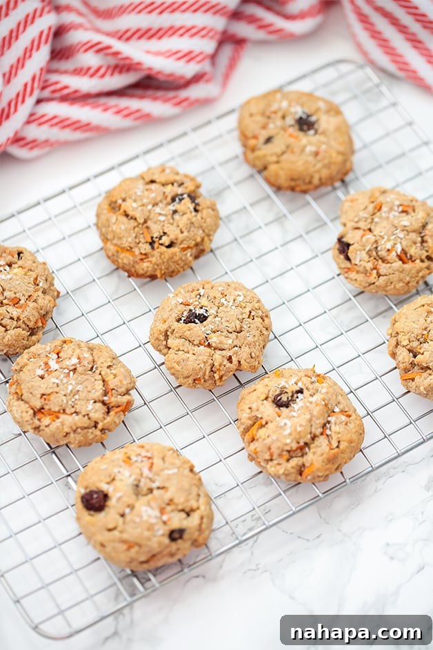 A close-up shot of a single Paleo Carrot Cake Protein Cookie, showcasing its texture and ingredients.