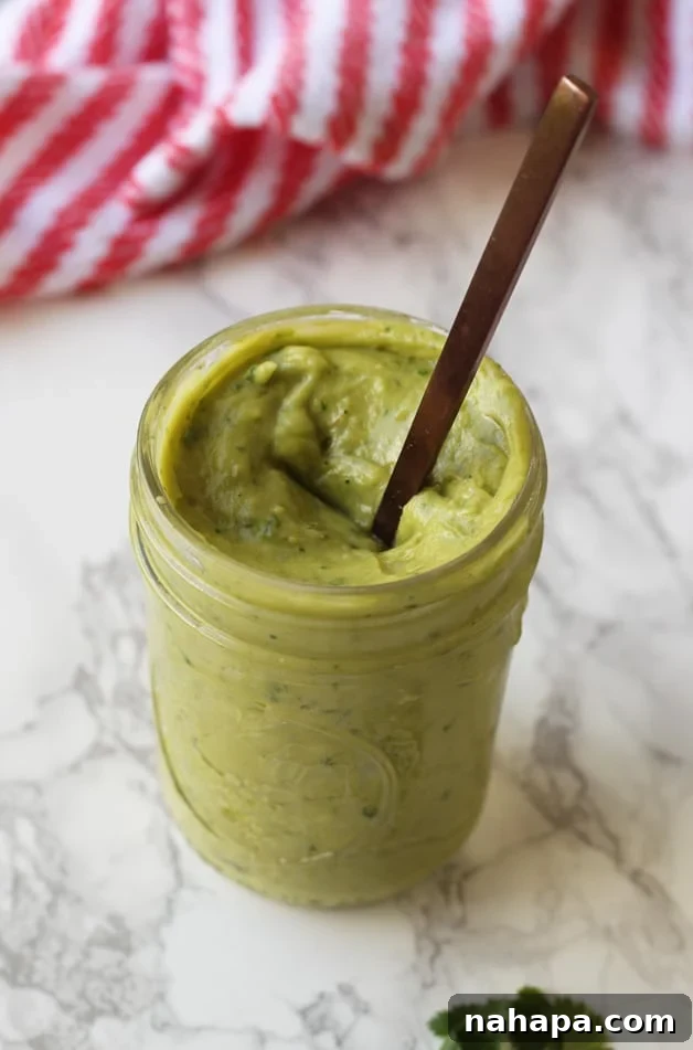 Avocado Cilantro Lime Sauce Recipe (AIP, Paleo, Whole 30)