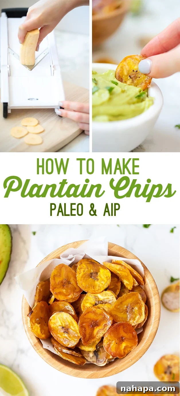 A Pinterest-optimized vertical image showing a bowl of baked plantain chips with a dip.
