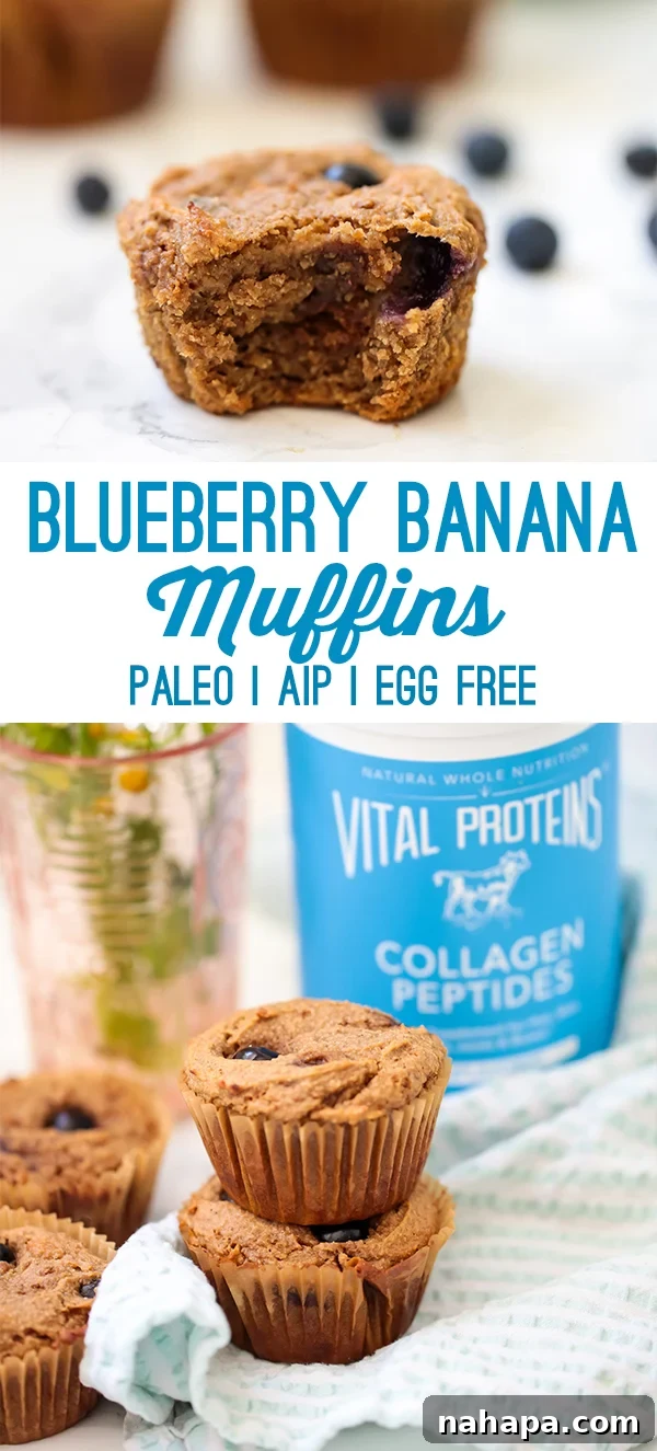 Wholesome Paleo AIP Egg-Free Blueberry Banana Muffins 6 A stack of blueberry banana muffins stacked on top of each other with text saying "blueberry banana muffins Paleo AIP Egg Free"