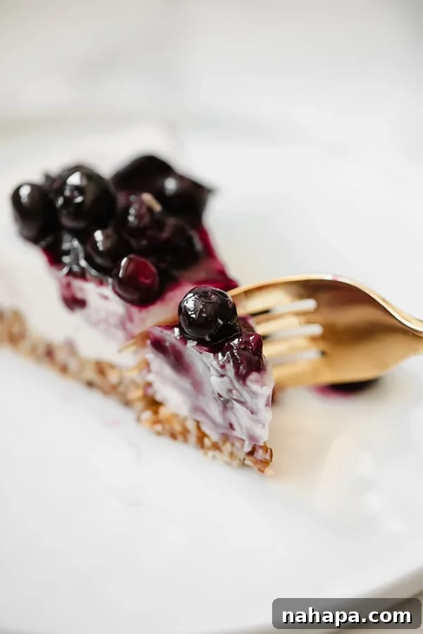 Creamy Dairy-Free Blueberry Lavender Cheesecake AIP Paleo 3 A slice of blueberry lavender cheesecake topped with blueberries on a white plate with a fork cutting into it.