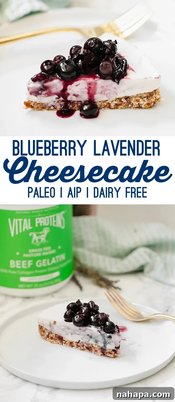 Creamy Dairy-Free Blueberry Lavender Cheesecake AIP Paleo 8 A photo of a slice of blueberry lavender cheesecake with text saying "blueberry lavender cheesecake pale AIP dairy free"