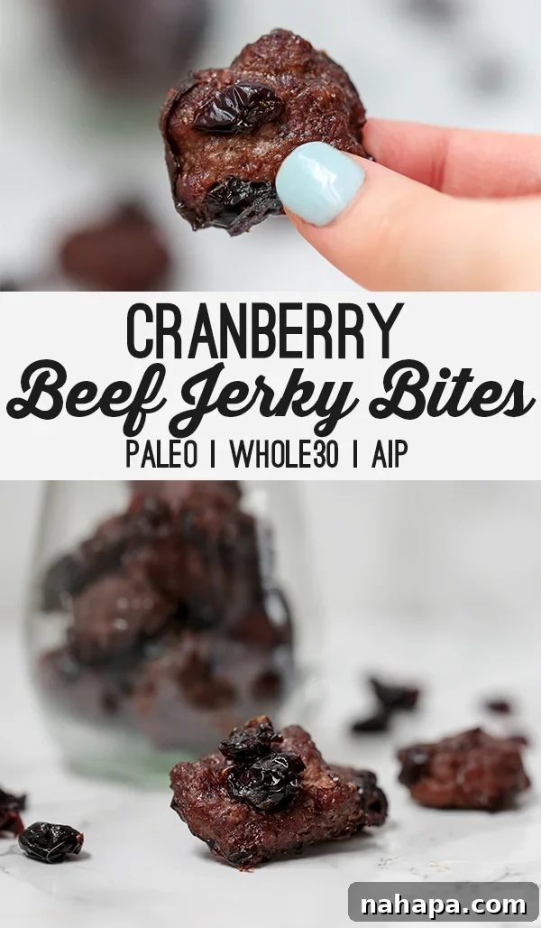 Pinterest-ready image: Cranberry Beef Jerky Bites on a plate with fresh cranberries