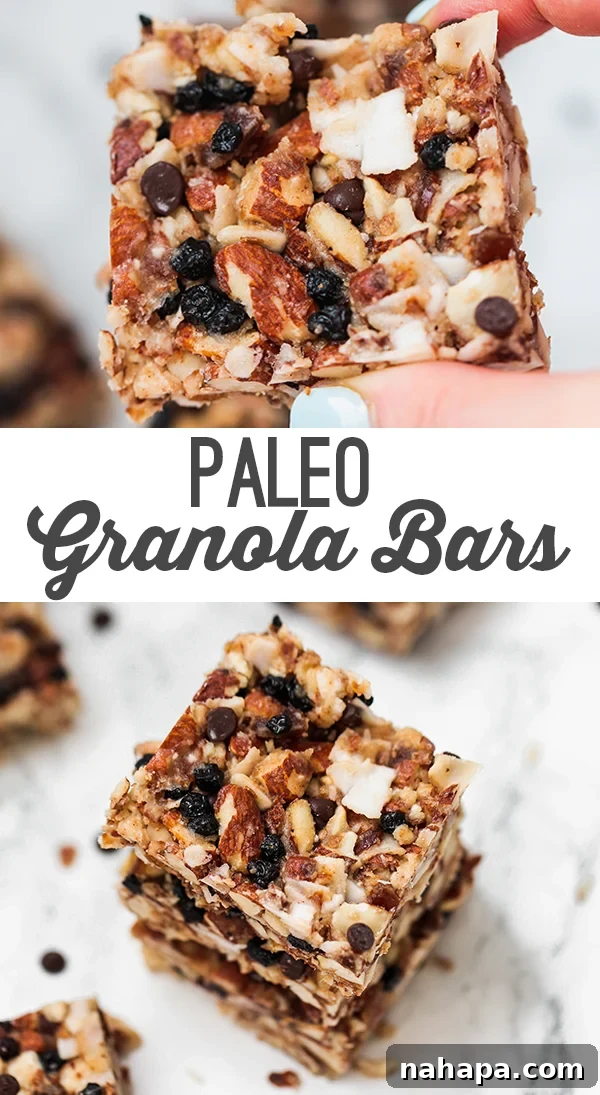 grain free granola bars with blueberries and chocolate chips, perfect for a healthy snack