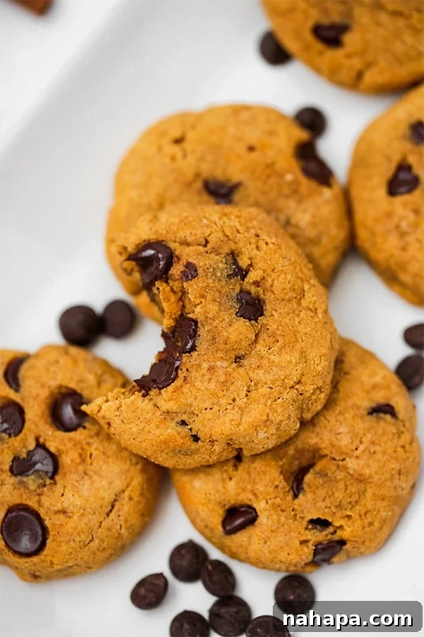 Nourishing Paleo Pumpkin Chocolate Chip Cookies 6 A white plate with pumpkin chocolate chip cookies on it and a bite taken out of one of them.