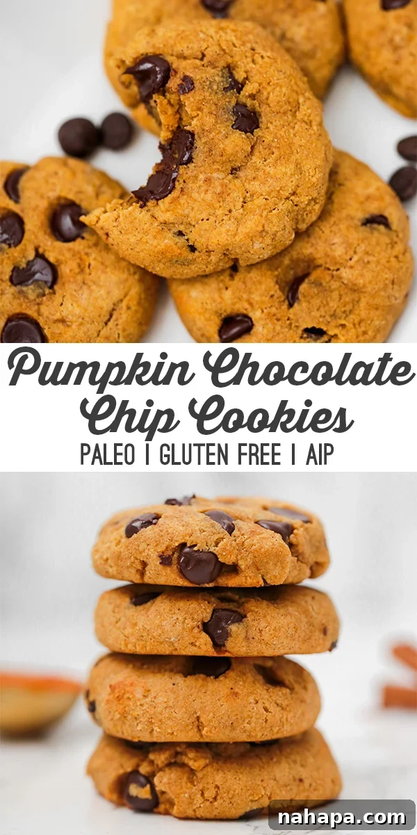 Nourishing Paleo Pumpkin Chocolate Chip Cookies 7 A few pumpkin chocolate chip cookies sitting on a counter with a bite taken out of one of them and text reading \"pumpkin chocolate chip cookies paleo gluten free AIP\"