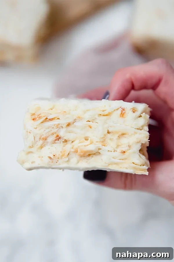 Guilt-Free Crispy Squares: Paleo & AIP Approved 3 Close-up shot of a single grain-free "rice" crispy treat, highlighting the texture of the toasted coconut flakes bound together by the marshmallow, on a white background.