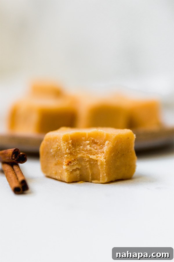 Delicious Paleo Pumpkin Fudge - an easy, no-bake AIP and vegan treat perfect for fall.