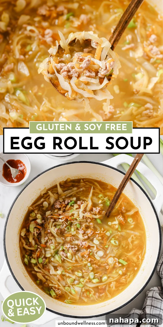 One-Pot Gluten-Free Egg Roll Soup 10 img 7132 10