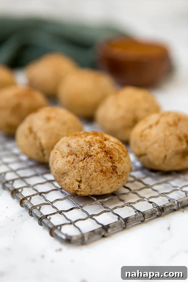 Homemade Grain-Free, Egg-Free Apple Donut Holes, Perfect for Paleo and AIP Diets