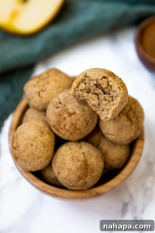 Perfectly Coated Paleo & AIP Cinnamon Sugar Apple Donut Holes