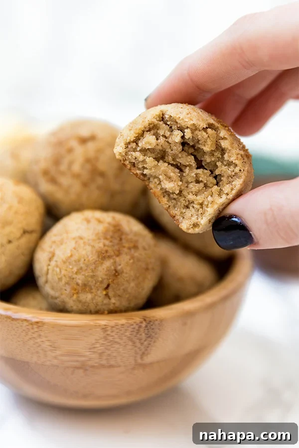 Paleo & AIP Apple Cinnamon Sugar Donut Holes