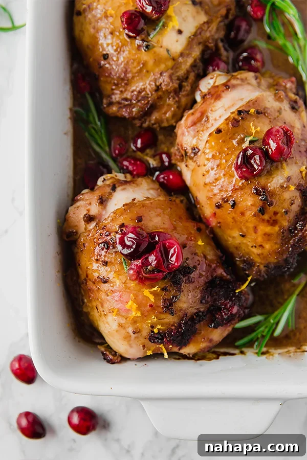 Decadent Orange Cranberry Balsamic Chicken Thighs