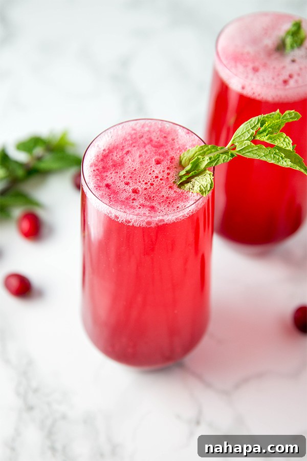 Close-up of a glass of cranberry mocktail with fresh cranberries and mint garnish.
