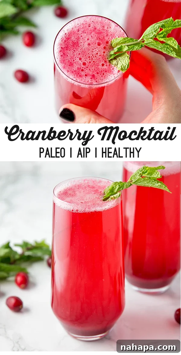 Cranberry mocktail in a glass with fresh cranberries and mint leaves.