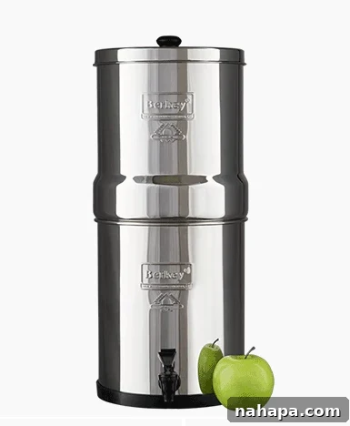 Festive Kitchen Essentials Gift Guide 8 Berkey Water Filter System
