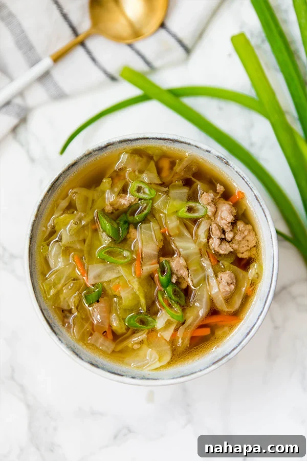 A hearty and flavorful Paleo Egg Roll Soup, brimming with tender meat and crisp vegetables, ideal for cold weather.