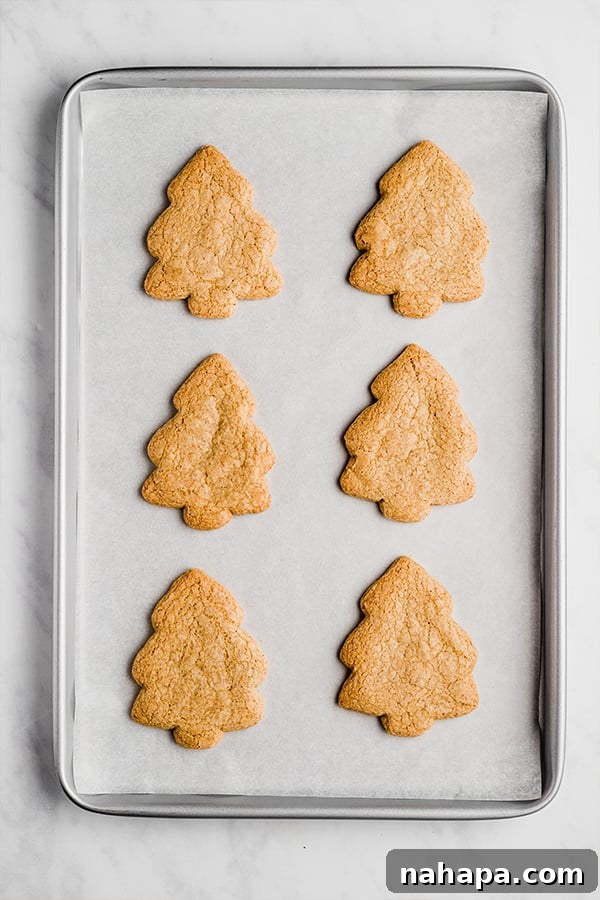 A sheet pan with six perfectly baked Christmas tree sugar cookies, golden brown and cooled.