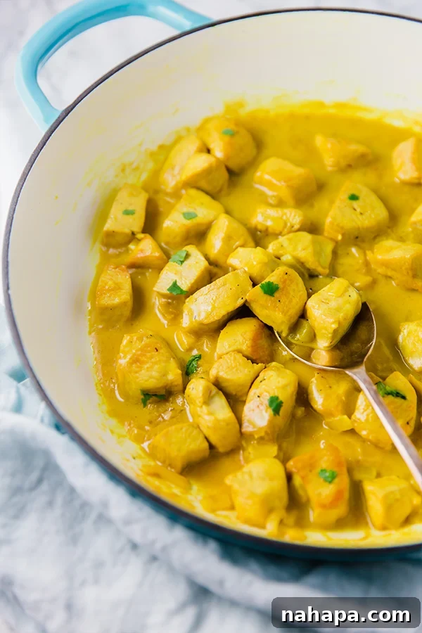 Close-up of turmeric curry with chicken and sauce