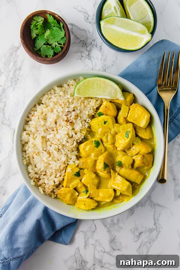 Beautifully plated turmeric chicken curry with lime and cilantro