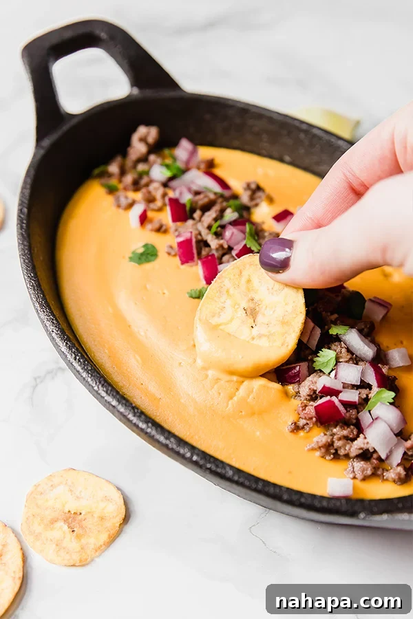 A bowl of creamy, dairy-free queso dip surrounded by an assortment of crunchy chips, perfect for a paleo and AIP snack.