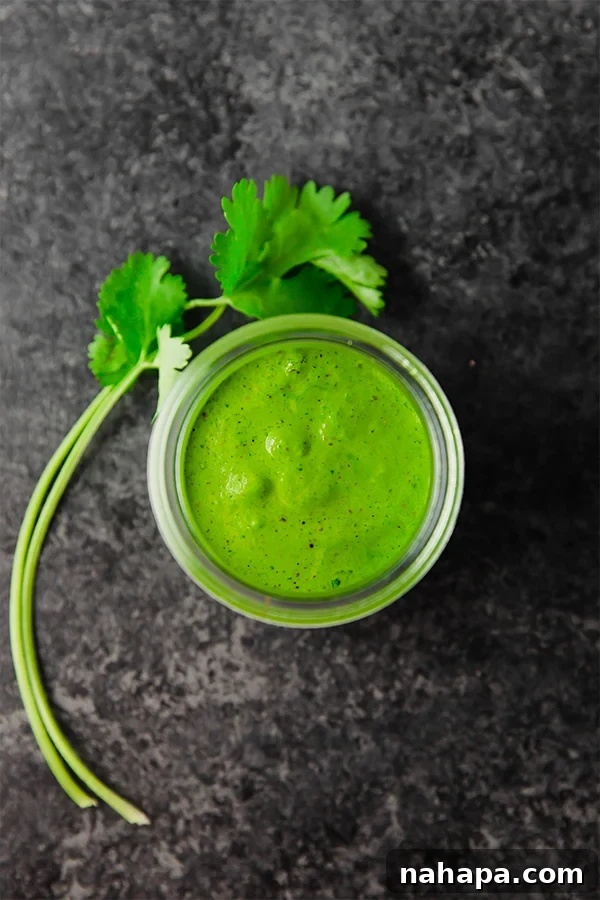 Nightshade-Free Chimichurri Sauce