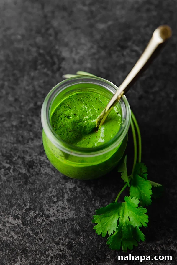 Fresh Chimichurri Sauce on a plate