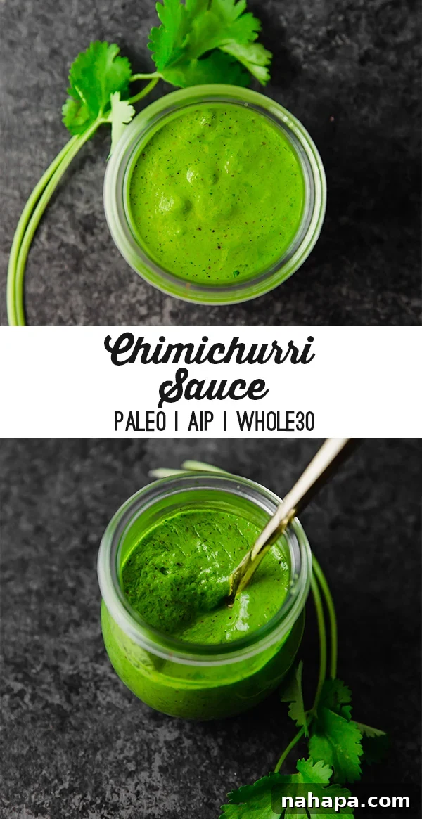 Nightshade-Free Chimichurri Sauce in a bowl