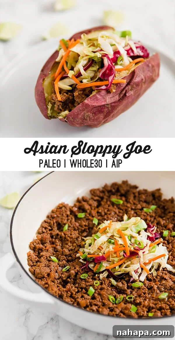 A vibrant close-up of Asian Sloppy Joe served in a white bowl, garnished with fresh herbs and a side of slaw.