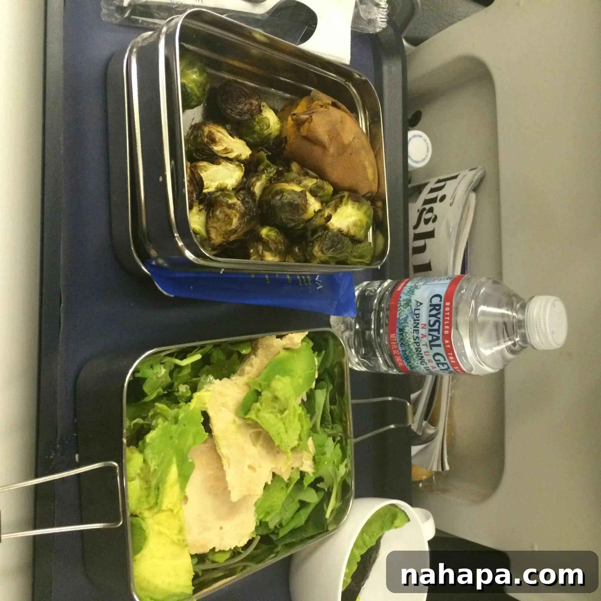 A plane tray table featuring a stainless steel lunchbox filled with healthy, compliant food for a long flight, alongside a pouch of tuna and an avocado.